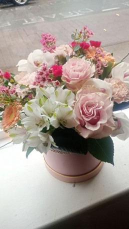 Blush Elegance